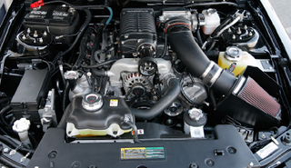 Illustration for article titled 2010 Shelby Mustang GT/SC